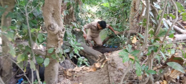 माननीय मुख्यमंत्री उत्तराखंड महोदय के ‘नशा मुक्त देवभूमि’ अभियान के तहत ताबड़तोड़ कार्यवाही: एसएसपी मणिकांत मिश्रा के कुशल निर्देशन में अवैध नशे के सौदागरों की तोड़ी जा रही कमर, 2500 लीटर अवैध लहन किया नष्ट