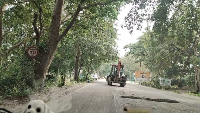 महापौर के प्रयासों के चलते रामनगर रोड पर गड्ढे भरने का कार्य शुरू हुआ
